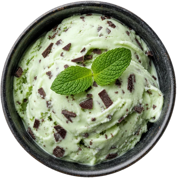 A dark bowl of pale mint gelato shot through with chocolate shards.